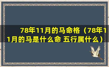 78年11月的马命格（78年11月的马是什么命 五行属什么）